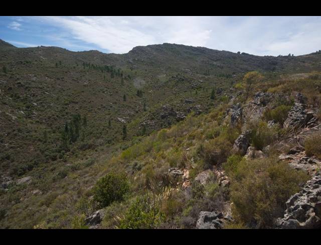 FARM FOR SALE IN PIKETBERG RURAL